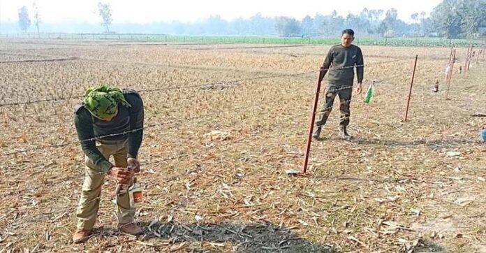 মধ্যরাতে ফের সীমান্তে কাঁটাতারের বেড়া বিএসএফের, বাধা বিজিবির