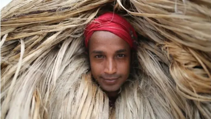 ভারতে বাংলাদেশি পাটপণ্য রপ্তানি কি বন্ধ হওয়ার পথে