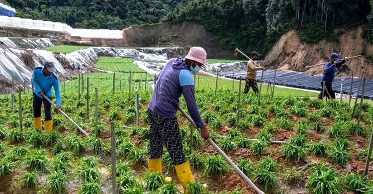 ১৩ খাতে বিদেশি কর্মী নিয়োগে সুখবর দিল মালয়েশিয়া