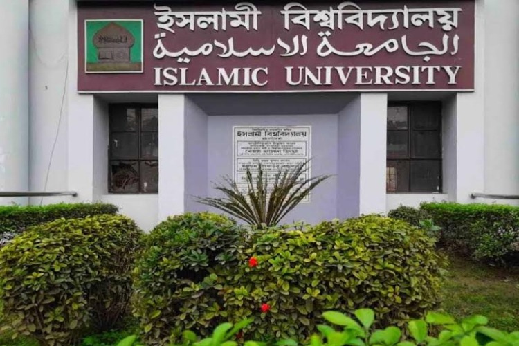 নারী শিক্ষার্থীর পোশাক নিয়ে ইবি শিক্ষকের অশালীন মন্তব্য, অডিও ভাইরাল