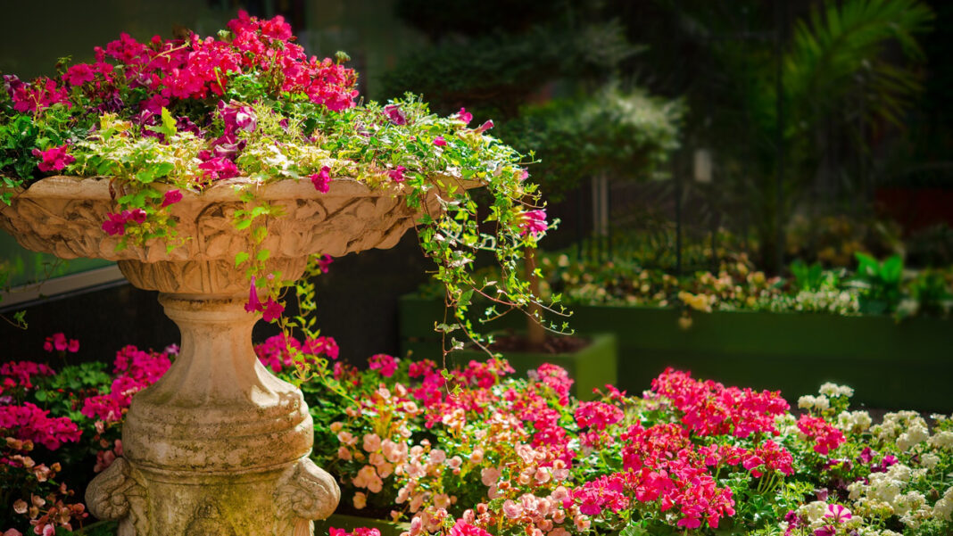 মহানবীর (সা.) সর্বশেষ স্ত্রী ছিলেন যিনি