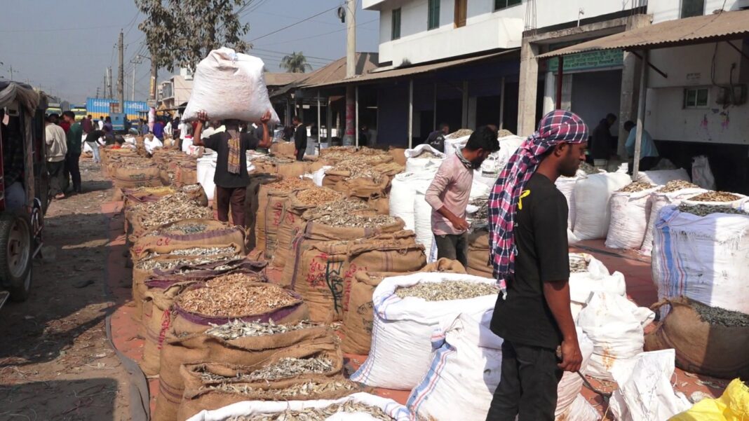 সৈয়দপুরের শুঁটকি আড়তে মাসে ৫ কোটি টাকার বাণিজ্য, হিমাগার না