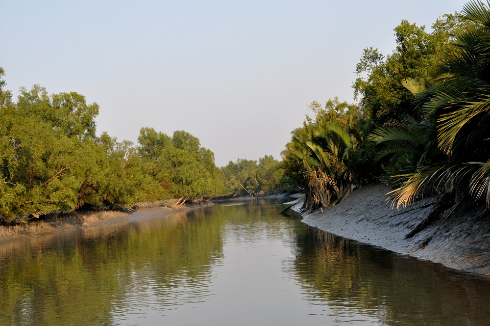 সুন্দরবন দিবসকে রাষ্ট্রীয়ভাবে স্বীকৃতির দাবি