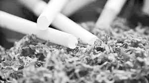 জনস্বাস্থ্য ও পরিবেশের ওপর তামাকের কালো থাবা