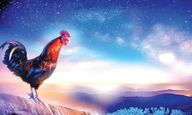 মোরগের ডাক শুনে আল্লাহকে স্মরণ