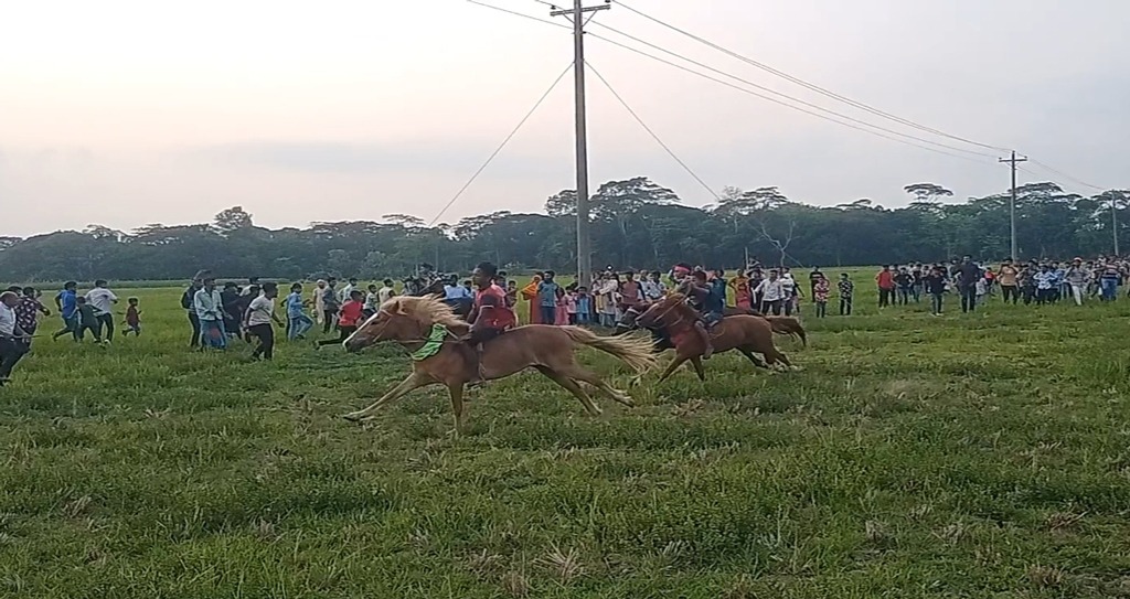 বরিশালের বাবুগঞ্জে বৈশাখী মেলায় ঘোড়দৌড় প্রতিযোগিতা, মানুষের ঢল
