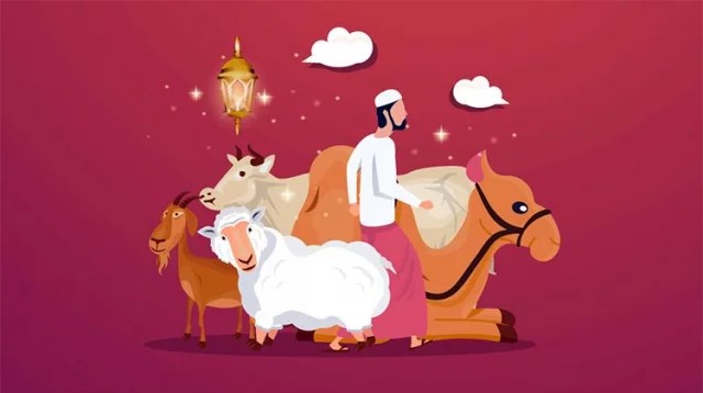 কোরবানি কেন ওয়াজিব?