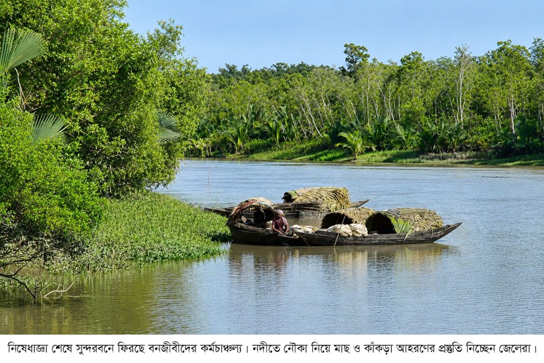 তিন মাস পর খুলছে সুন্দরবন, ফিরছে জেলেদের ব্যস্ততা