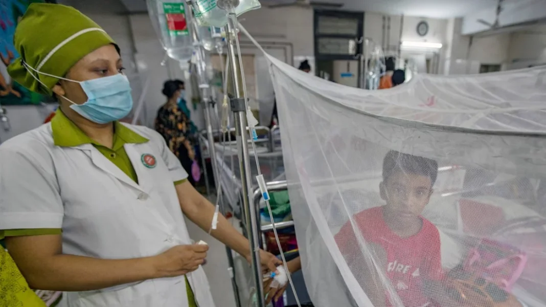 ২৪ ঘণ্টায় ডেঙ্গুতে আরও ৩ মৃত্যু, হাসপাতালে ভর্তি ৭৫৩ ২৪ ঘণ্টায় ডেঙ্গুতে আরও ৩ মৃত্যু, হাসপাতালে ভর্তি ৭৫৩