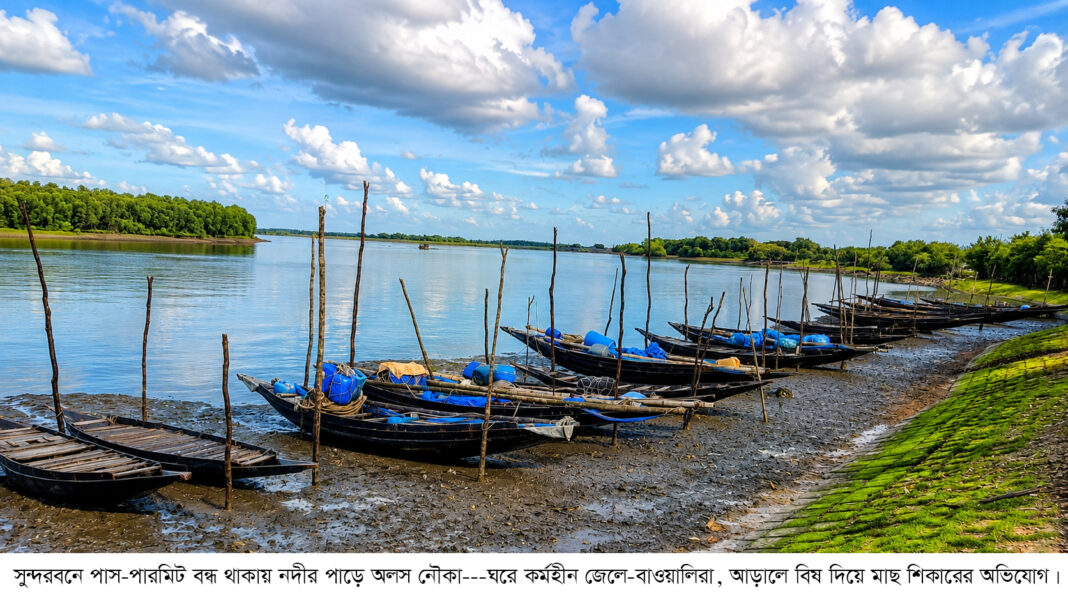 বৈধ জেলেরা ঘরে, আড়ালে বিষের কারবার--সুন্দরবনে পাস বন্ধের সুযোগ নিচ্ছে কারা?