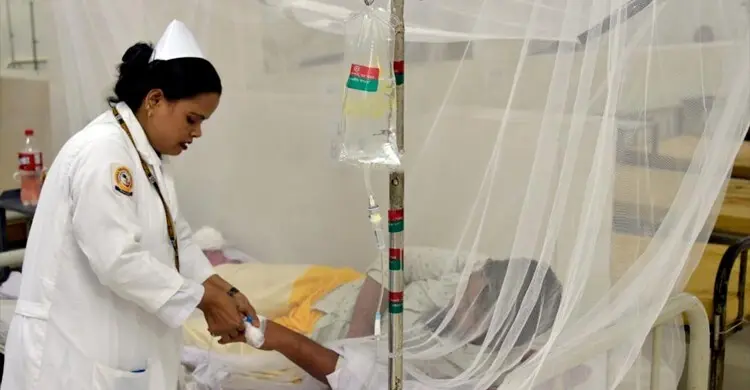 ডেঙ্গুতে আরও ৫ জনের মৃত্যু ডেঙ্গু জ্বরে আক্রান্ত হয়ে গত ২৪ ঘণ্টায় পাঁচজন