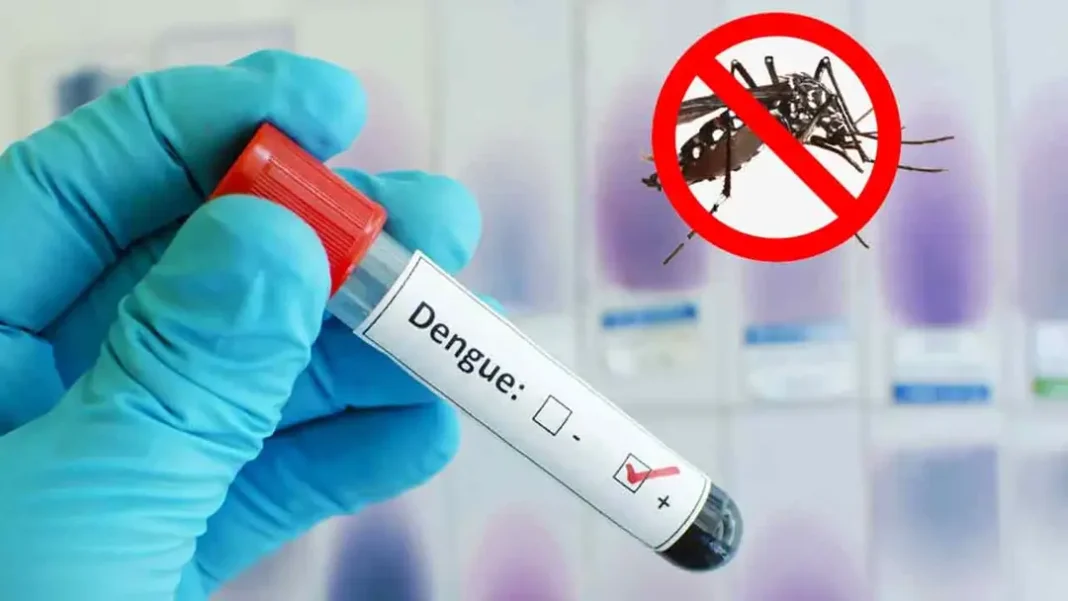 ডেঙ্গুতে আরও ৪ জনের মৃত্যু, হাসপাতালে ১৩১৪ ডেঙ্গুতে আরও ৪ জনের মৃত্যু, হাসপাতালে ১৩১৪