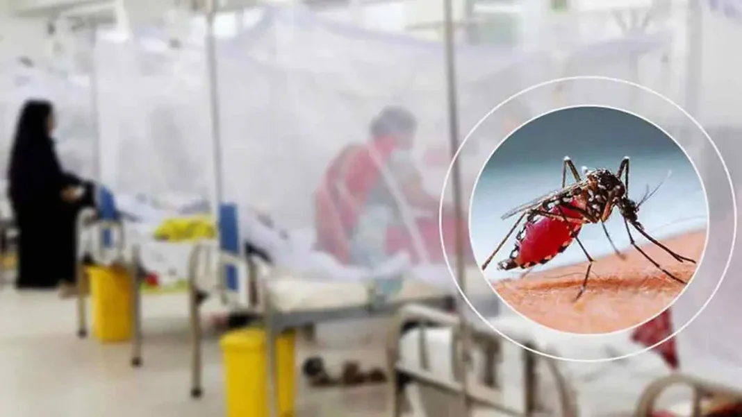 ডেঙ্গুতে আক্রান্ত হয়ে হাসপাতালে ২১৫৮ জন, মৃত্যু ৬ ডেঙ্গুতে আক্রান্ত হয়ে হাসপাতালে ২১৫৮ জন, মৃত্যু ৬