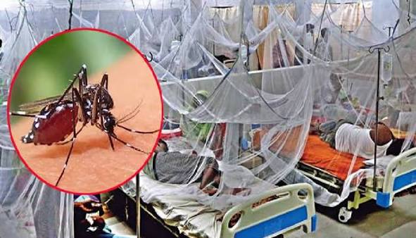 ডেঙ্গুতে ৬ জনের মৃত্যু, একদিনে হাসপাতালে ভর্তি ১৯৪২ ডেঙ্গুতে ৬ জনের মৃত্যু, একদিনে হাসপাতালে ভর্তি ১৯৪২