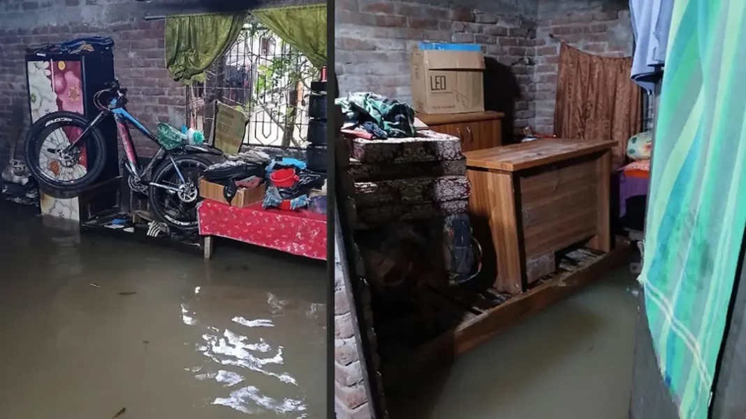 রাতভর বৃষ্টিতে জলাবদ্ধ চাঁপাইনবাবগঞ্জ, বাসাবাড়িতে ঢুকেছে পানি রাতভর বৃষ্টিতে জলাবদ্ধ চাঁপাইনবাবগঞ্জ, বাসাবাড়িতে ঢুকেছে পানি
