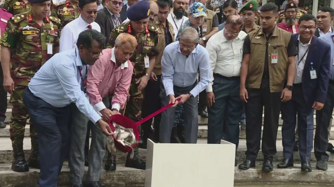 বঙ্গভবনের সিংহ পুকুরে মাছের পোনা অবমুক্ত করলেন রাষ্ট্রপতি বঙ্গভবনের সিংহ পুকুরে মাছের পোনা অবমুক্ত করলেন রাষ্ট্রপতি