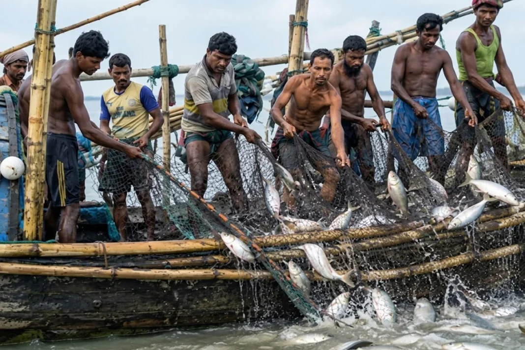 সাড়ে ৬ লাখ জেলে পরিবার পাচ্ছে ১৬৫৭ মেট্রিক টন চাল
