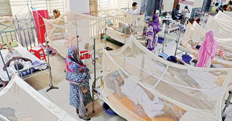 ডেঙ্গুতে ৯ জনের মৃত্যু, হাসপাতালে ভর্তি ১৯৫৪