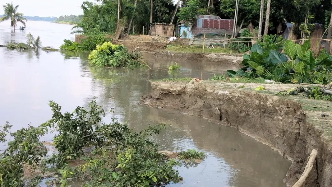 মধুমতি নদীর ভাঙনের মুখে ফরিদপুরের দুই গ্রাম