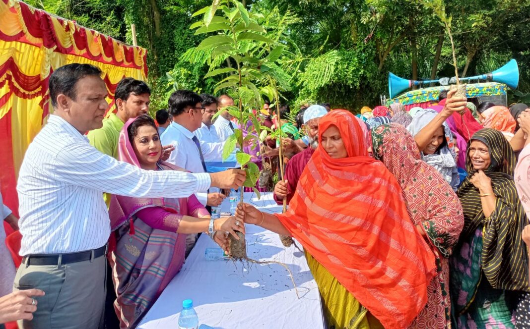 নদীর পাড় দখল রোধ ও পরিবেশ রক্ষায় ৫শ’ গাছের চারা রোপণ ও বিতরণ