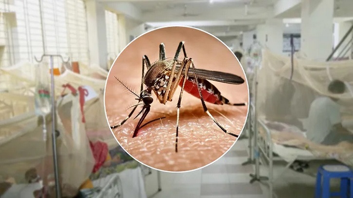 ডেঙ্গুতে আরো ৬ প্রাণহানি, হাসপাতালে ১৮৮৬