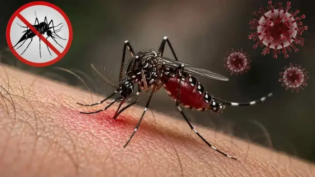ডেঙ্গুতে আক্রান্ত হয়ে আরও চারজনের মৃত্যু