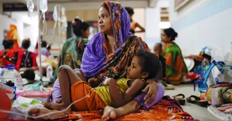 ডেঙ্গুতে আরও ৯ জনের মৃত্যু, হাসপাতালে ভর্তি ১৯০২