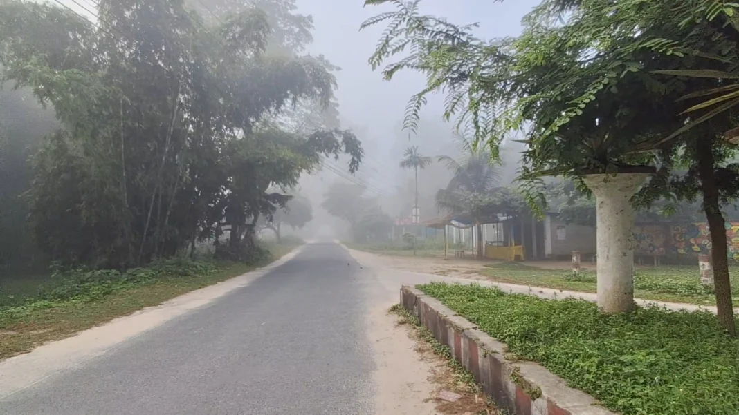 তেঁতুলিয়ায় জেঁকে বসেছে শীত, তাপমাত্রা ১৫.৪ ডিগ্রি