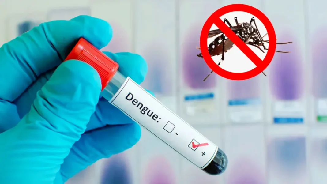 ২৪ ঘণ্টায় ডেঙ্গুতে ৭ মৃত্যু, হাসপাতালে ১৮৭২