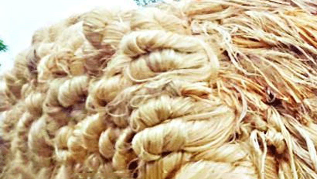 বাংলাদেশি পাটপণ্যে শুল্ক আরও বাড়াল ভারত, আরও শুল্কের পরিকল্পনা